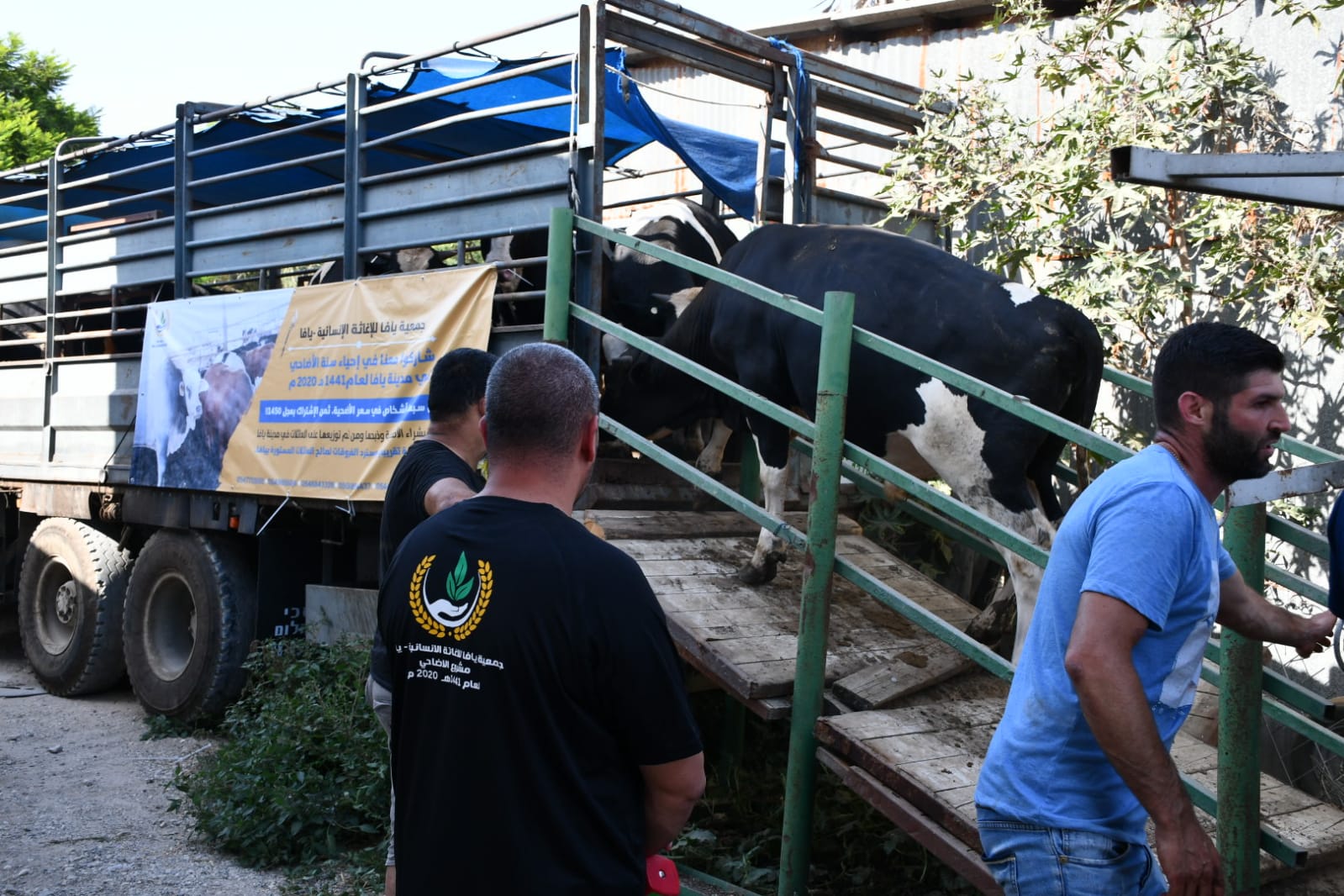 WhatsApp Image 2020-07-30 at 4.34.27 PM.jpeg.jpeg